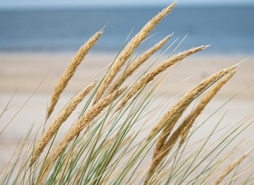Sea 5515005 1280